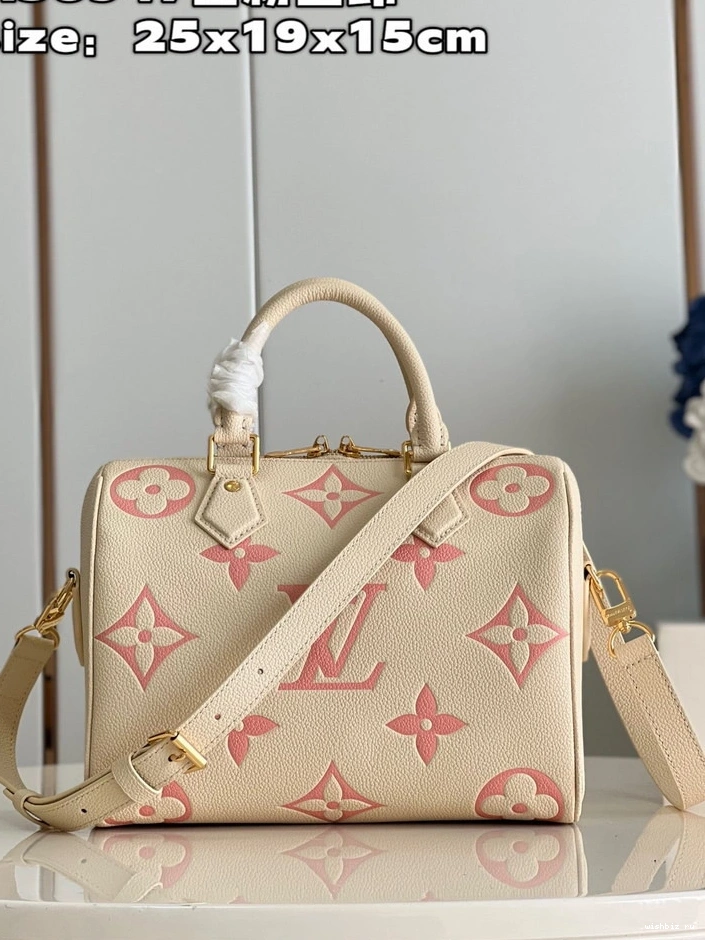 WIS SPEEDY BANDOULIÈRE LOUIS VUITTON 25 0918